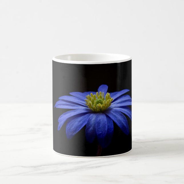 Blue Daisy Gerbera Flower on a Black background Coffee Mug (Center)