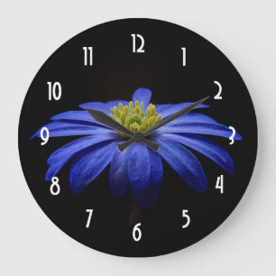 Blue Daisy Gerbera Flower on a Black background Large Clock
