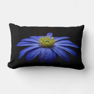 Blue Daisy Gerbera Flower on a Black background Lumbar Cushion