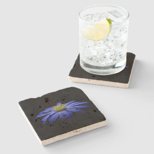 Blue Daisy Gerbera Flower on a Black background Stone Coaster