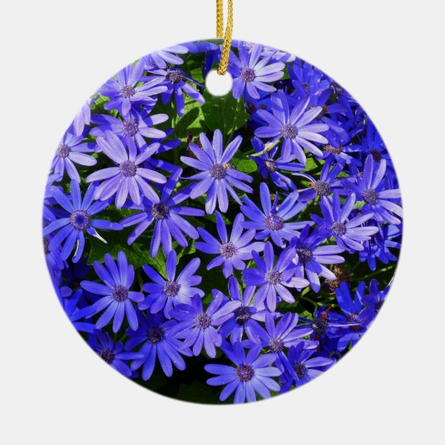 Blue Daisy-like Flowers Nature Photography Ceramic Ornament (Front)