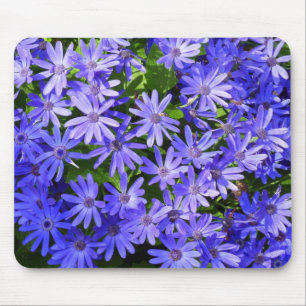 Blue Daisy-like Flowers Nature Photography Mouse Pad
