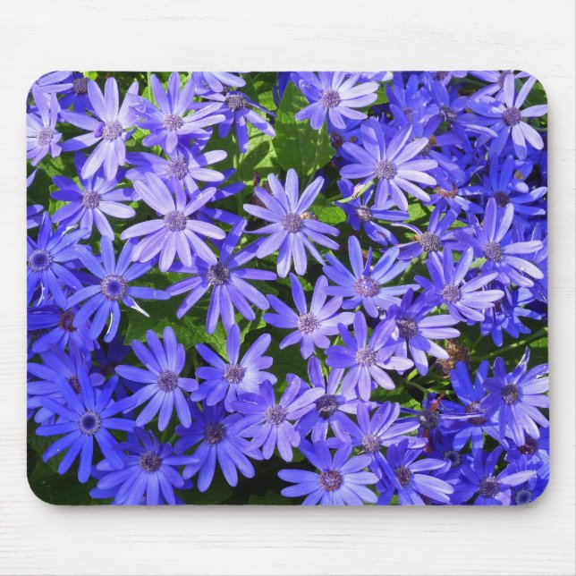 Blue Daisy-like Flowers Nature Photography Mouse Pad (Front)