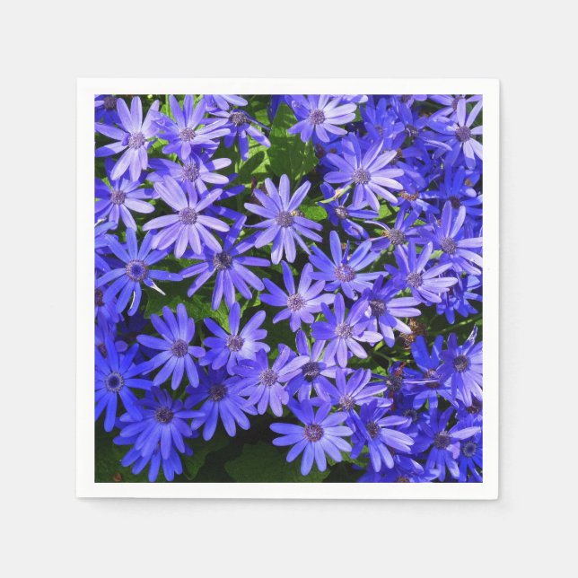 Blue Daisy-like Flowers Nature Photography Napkin (Front)