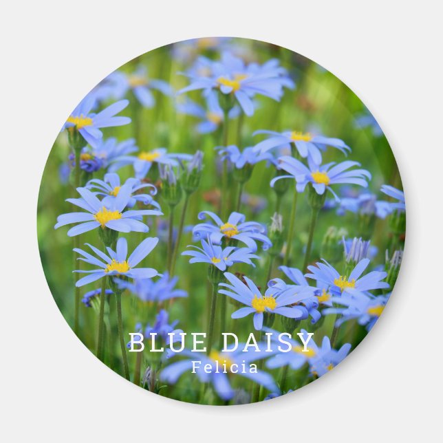Blue Daisy Magnet (Front)
