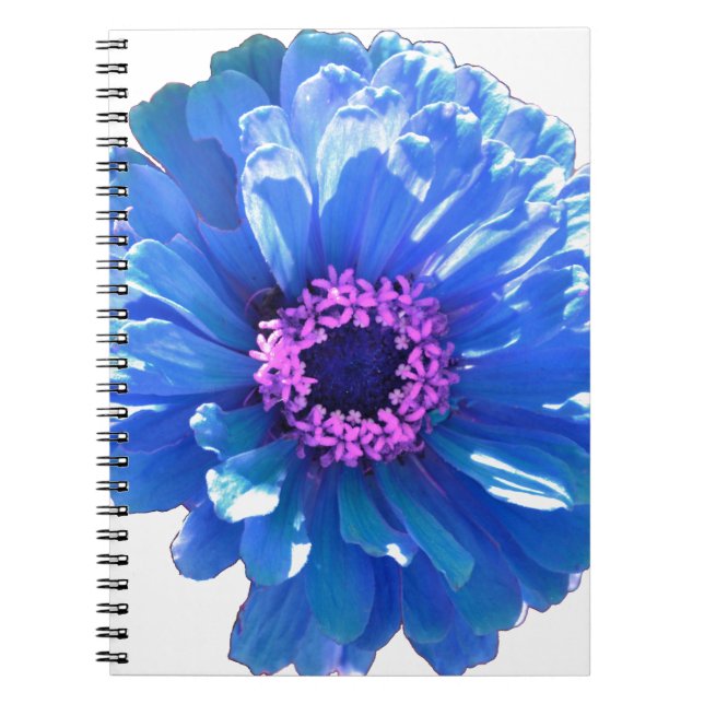 Blue Daisy Notebook (Front)