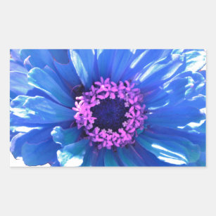 Blue Daisy Rectangular Sticker