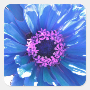 Blue Daisy Square Sticker