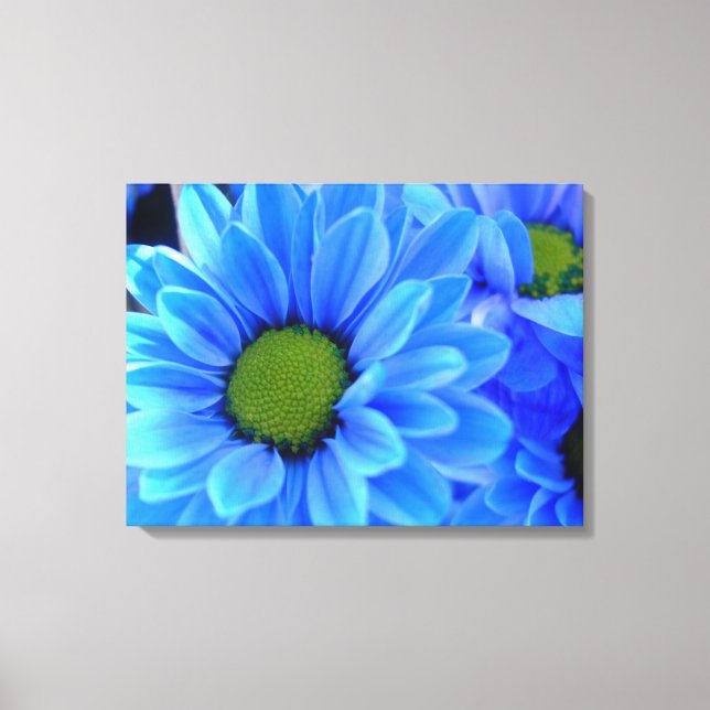 Blue Daisy Wrapped Canvas (Front)