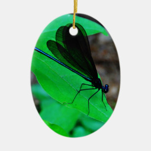 Blue Damselfly on a green leaf. Ceramic Ornament