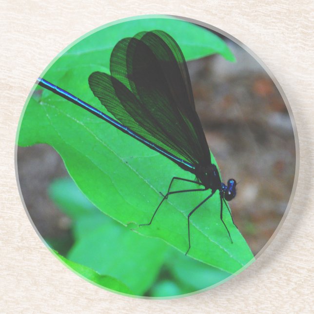 Blue Damselfly on a green leaf. Coaster (Front)