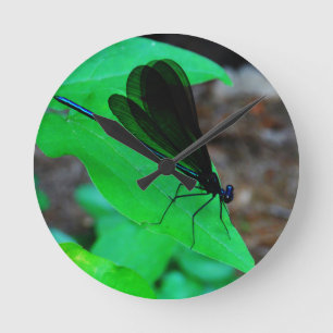 Blue Damselfly on a green leaf. Round Clock