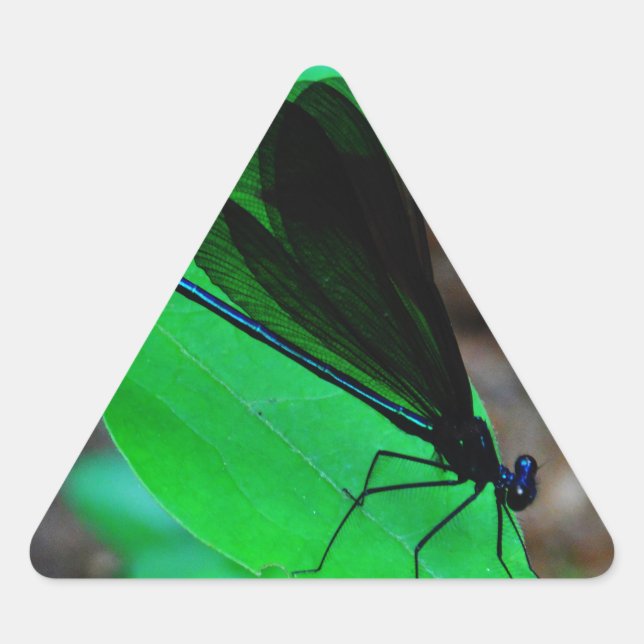 Blue Damselfly on a green leaf. Triangle Sticker (Front)
