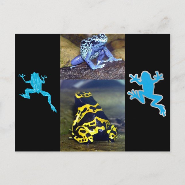 BLUE DART FROG POSTCARD (Front)