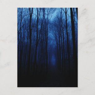 Blue Deep Forest Postcard