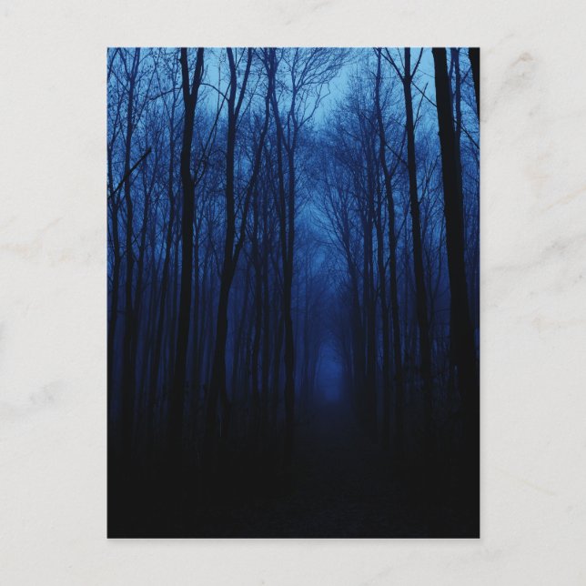 Blue Deep Forest Postcard (Front)