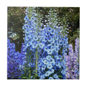 Blue Delphinium Floral Flowers Garden Nature Ceramic Tile