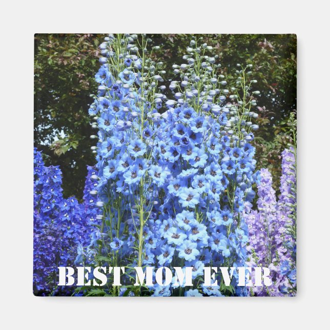 Blue Delphinium Floral Flowers Garden Nature Magne Magnet (Front)