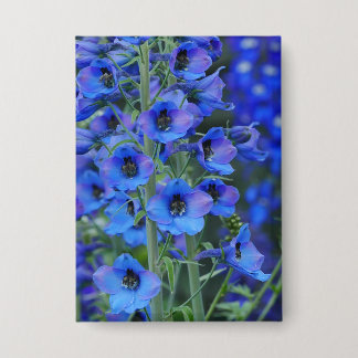 Blue Delphiniums Badge