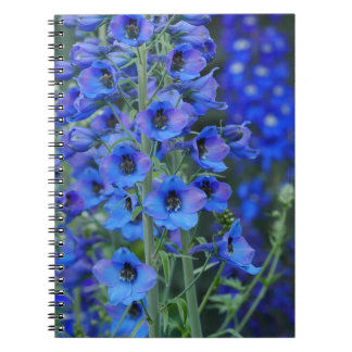 Blue Delphiniums Notebook 