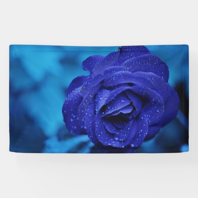 Blue Dewdrop Rose Banner (Horizontal)