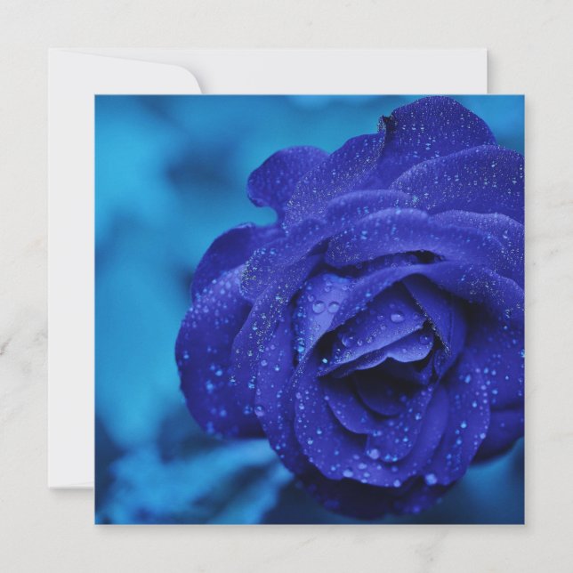 Blue Dewdrop Rose Card (Front)