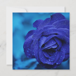 Blue Dewdrop Rose Card