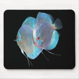 Blue Diamond Discus fish のマウスパッド,No. Mouse Pad