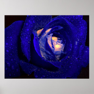 blue diamonds poster