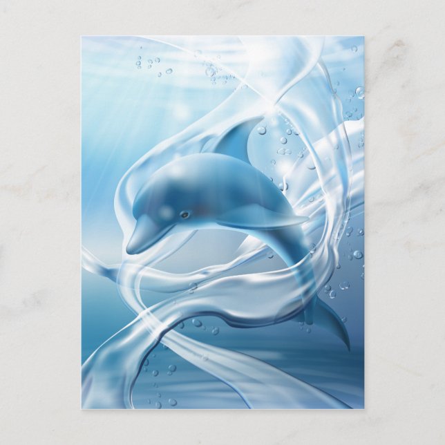 Blue Dolphin postcard (Front)