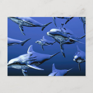 Blue Dolphin Postcard