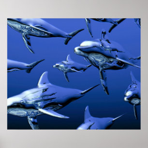 Blue Dolphin Poster
