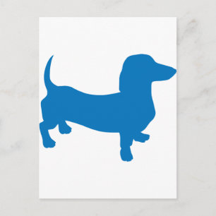Blue Doxie, Dachshund Postcard