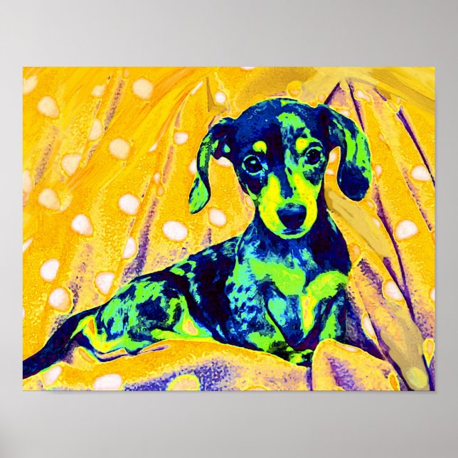 blue doxie poster (Front)