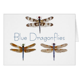Blue Dragonflies