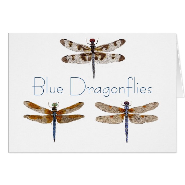 Blue Dragonflies (Front Horizontal)
