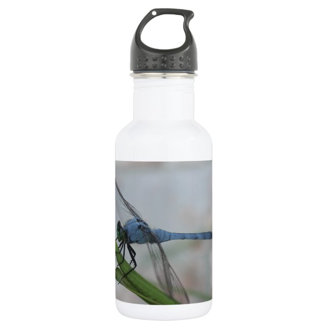 Blue Dragonfly 532 Ml Water Bottle (Front)