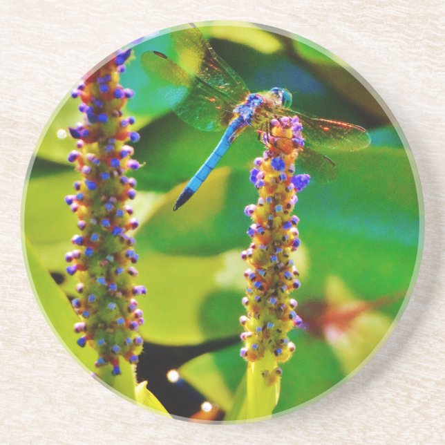 Blue Dragonfly and flowers Coaster (Front)