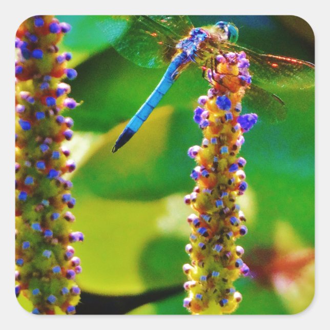 Blue Dragonfly and flowers Square Sticker (Front)