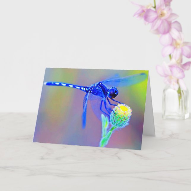 Blue Dragonfly Blank Inside Card (Orchid)
