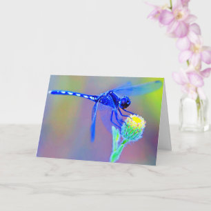 Blue Dragonfly Blank Inside Card