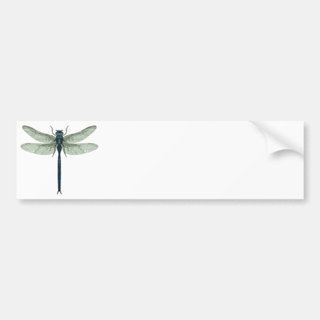 Blue Dragonfly Bumper Sticker (Front)
