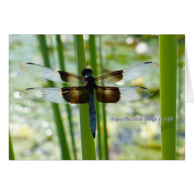 Blue Dragonfly Card (Front Horizontal)