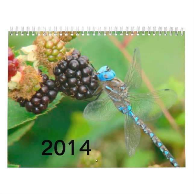 Blue Dragonfly Eating Raspberries Calendar (Cover)