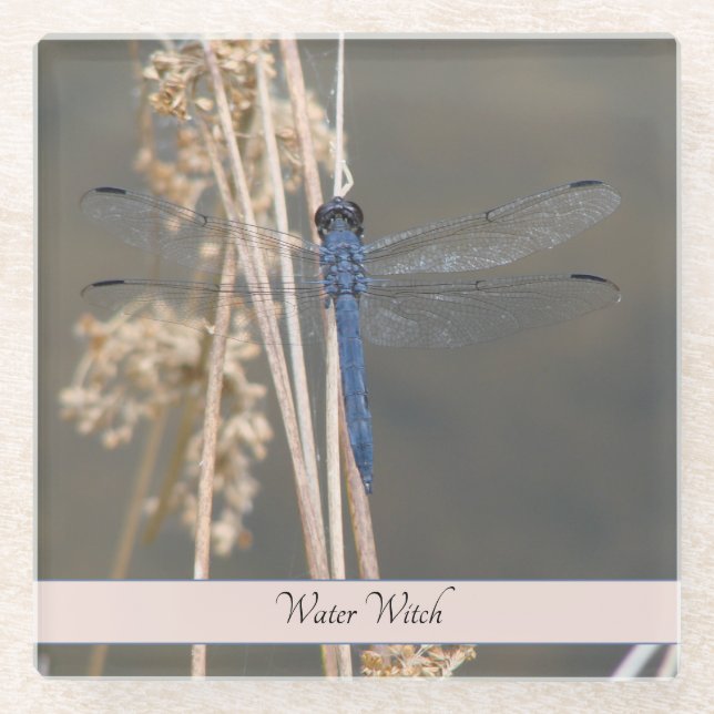 Blue dragonfly glass coaster (Front)