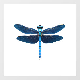 Blue Dragonfly - Insect Wildlife Animal Lover Ento
