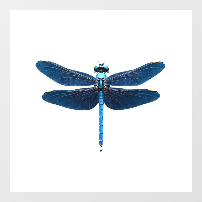 Blue Dragonfly - Insect Wildlife Animal Lover Ento (Sheet)