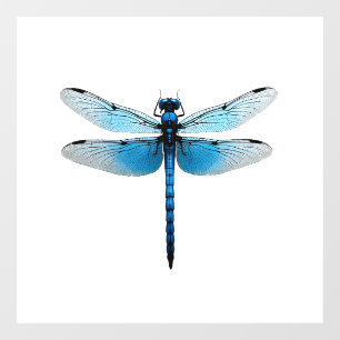 Blue Dragonfly - Insect Wildlife Animal Lover Ento