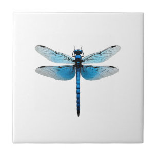 Blue Dragonfly - Insect Wildlife Animal Lover Ento Ceramic Tile
