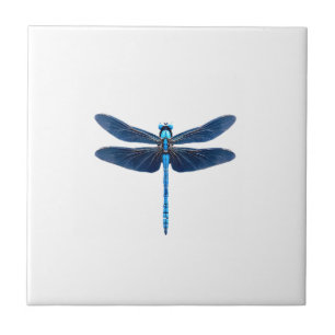 Blue Dragonfly - Insect Wildlife Animal Lover Ento Ceramic Tile